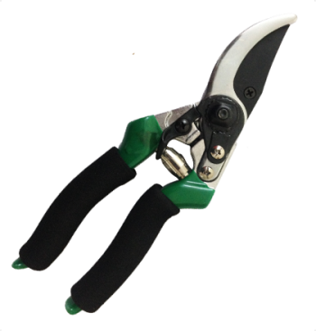 ΚΛΑΔΕΥΤΗΡΙ ΧΕΙΡΟΣ